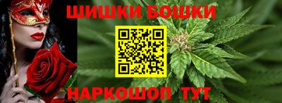 прущие крисы Бийск