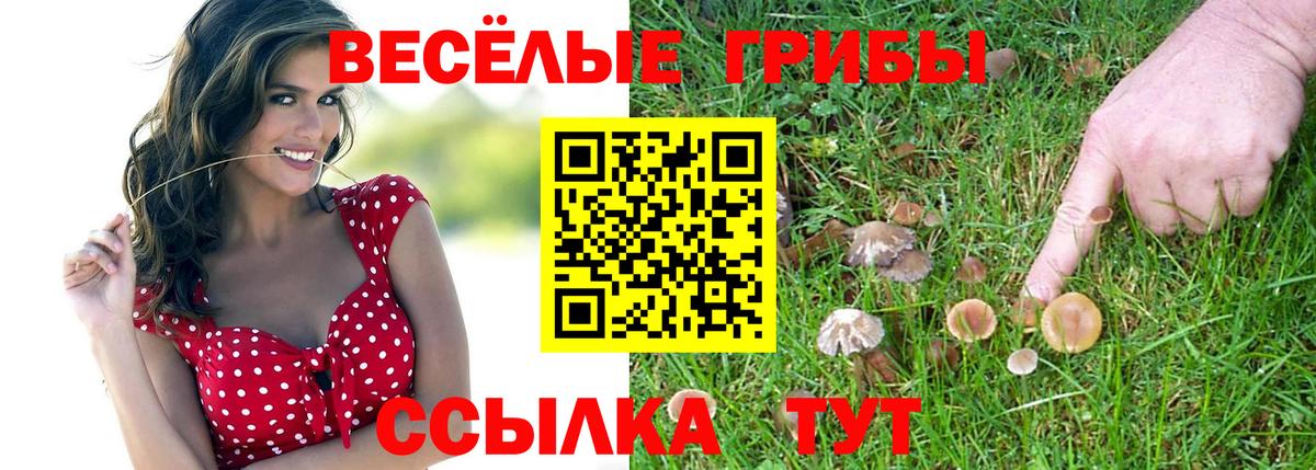 Псилоцибиновые грибы GOLDEN TEACHER  Вход с VPN  Владивосток 