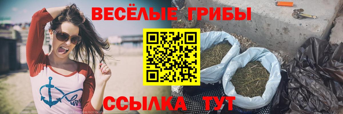 Псилоцибиновые грибы Cubensis Владивосток